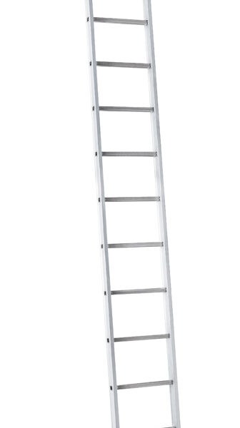 Jumbo Proff Enkeltstige